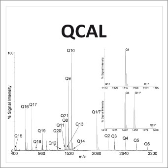 QCAL calibration standards for mass spectrometry
